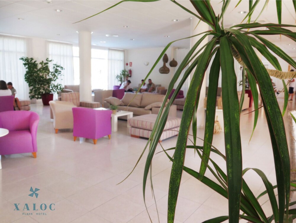 

Bologna - Mahon - Hotel Xaloc Playa