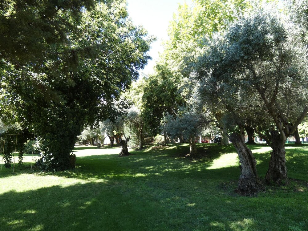 

Genova - Getafe - Hotel Los Olivos