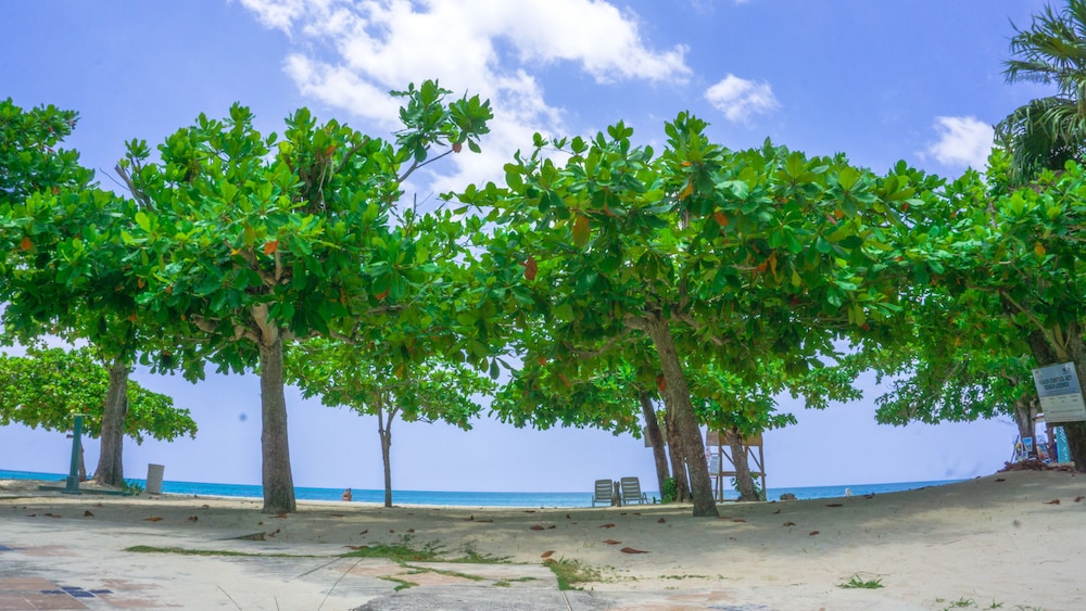 

Roma - Negril - Negril Beach Club