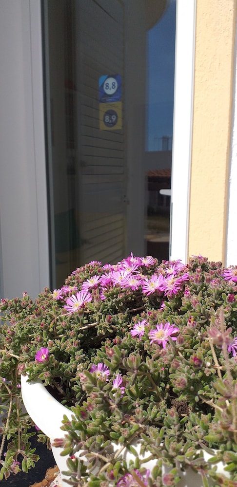

Milano - Morciano di Leuca - Residence Bellevue