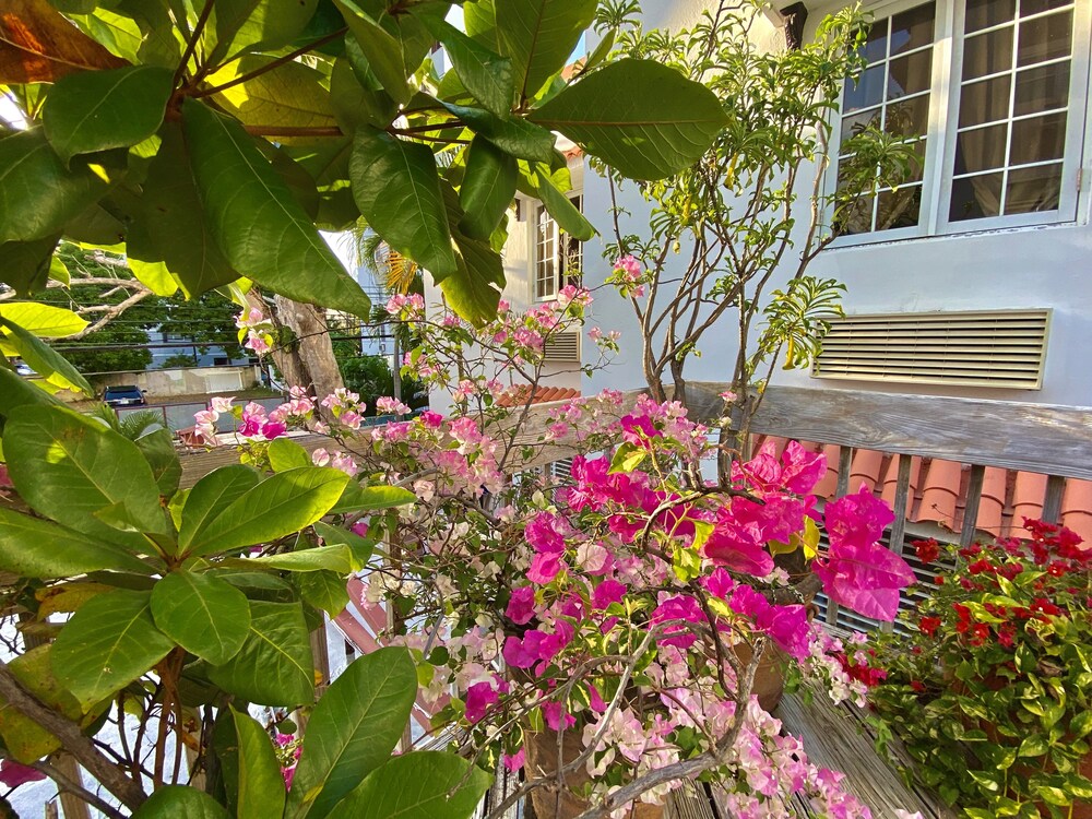 

Roma - San Juan - At Wind Chimes Boutique Hotel