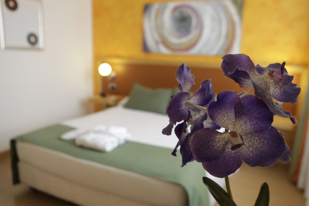 

Catania - Grottaferrata - ibis Styles Roma Vintage