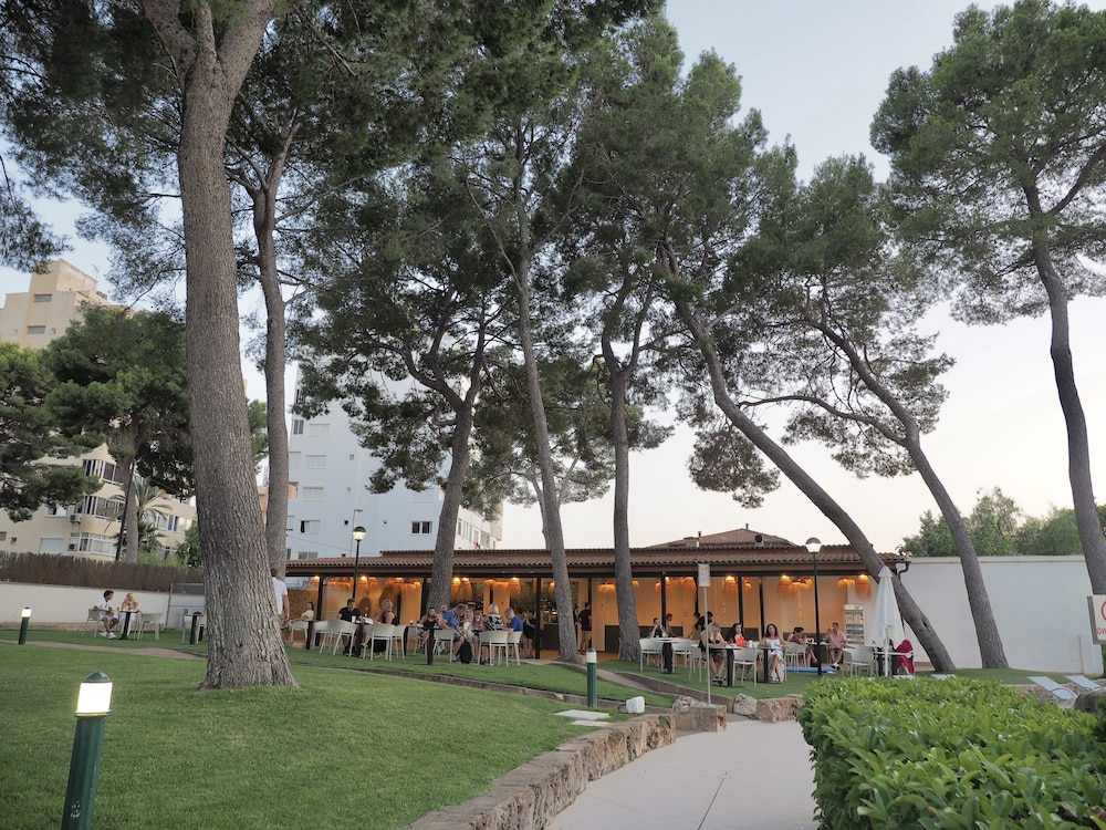

Palermo - Cala Major - BQ Belvedere Hotel