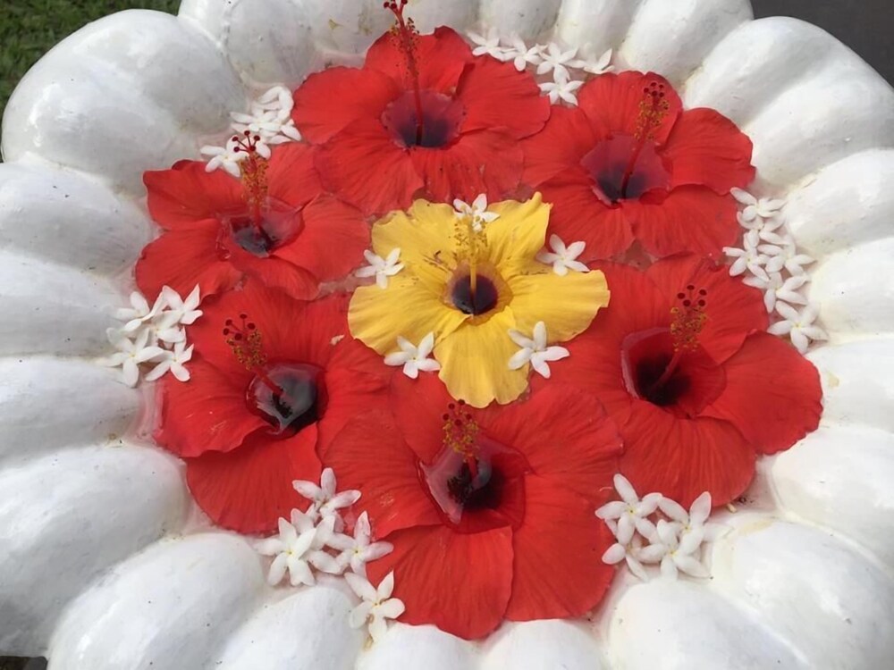 

Milano - Unawatuna - Leijay Garden Retreat