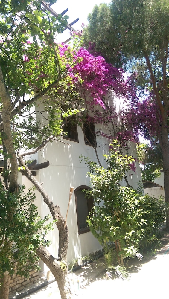 

Roma - Gundogan - Ece Hotel Bodrum