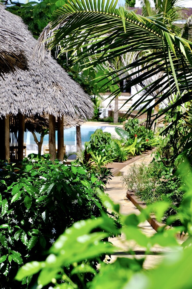 

Bologna - Jambiani, Zanzibar - Nyumbani Residence Suites