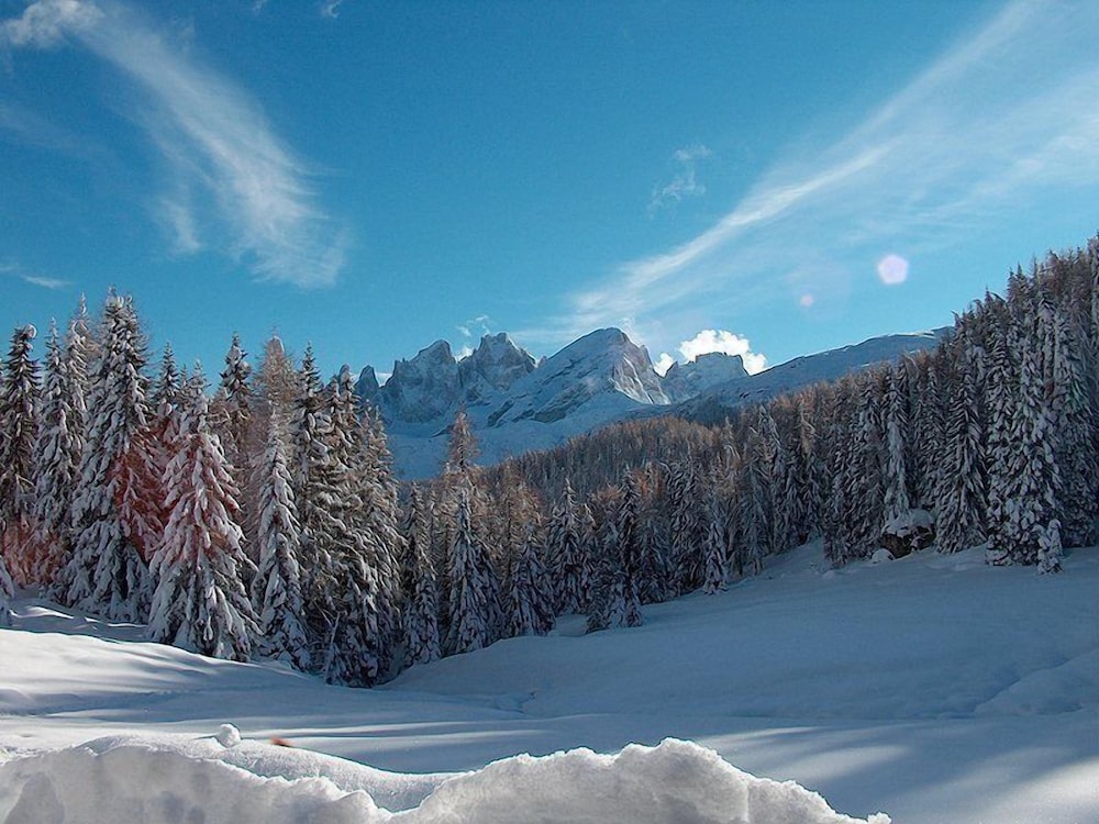 

Bari - Vigo di Fassa - Laurino