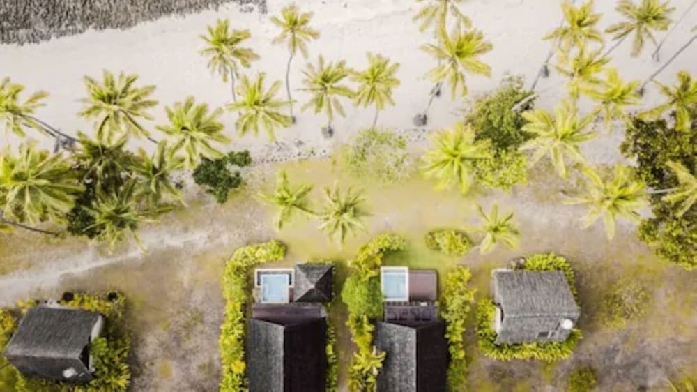 

Bologna - Korotongo - Tambua Sands Beach Resort - Adults Only