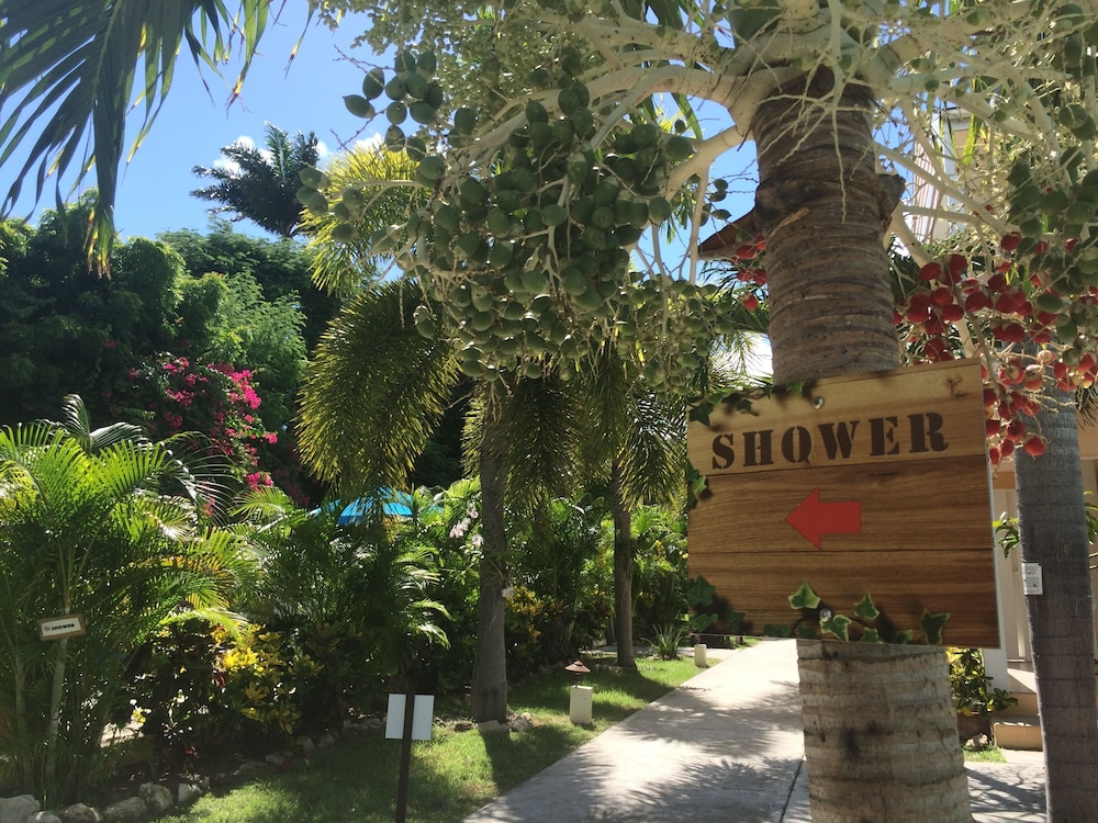 

Venezia - St. John's - Buccaneer Beach Club