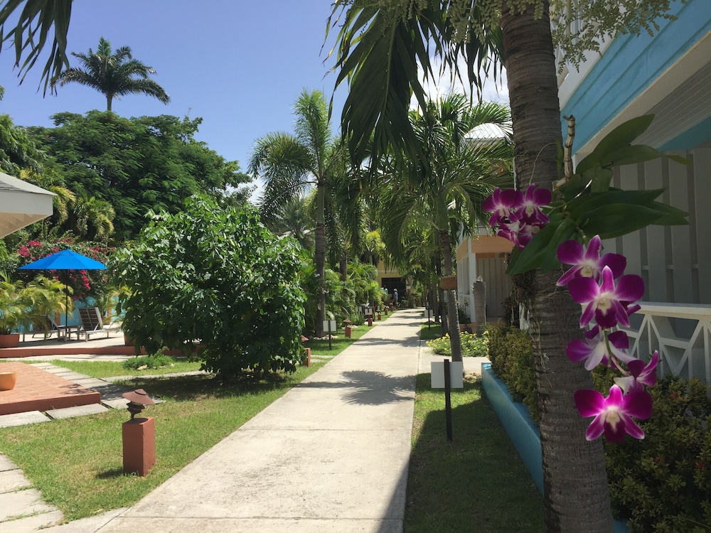 

Bologna - St. John's - Buccaneer Beach Club