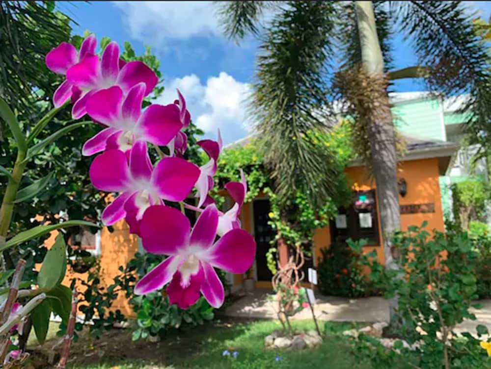 

Venezia - St. John's - Buccaneer Beach Club