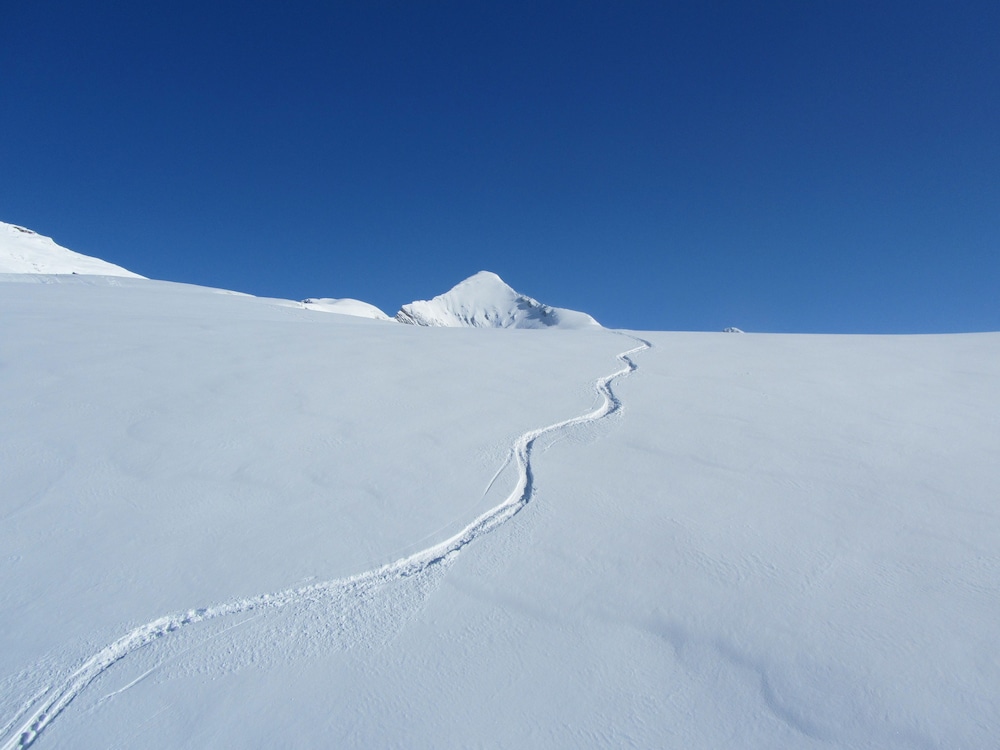 

Brindisi - Grindelwald - Alpenhof