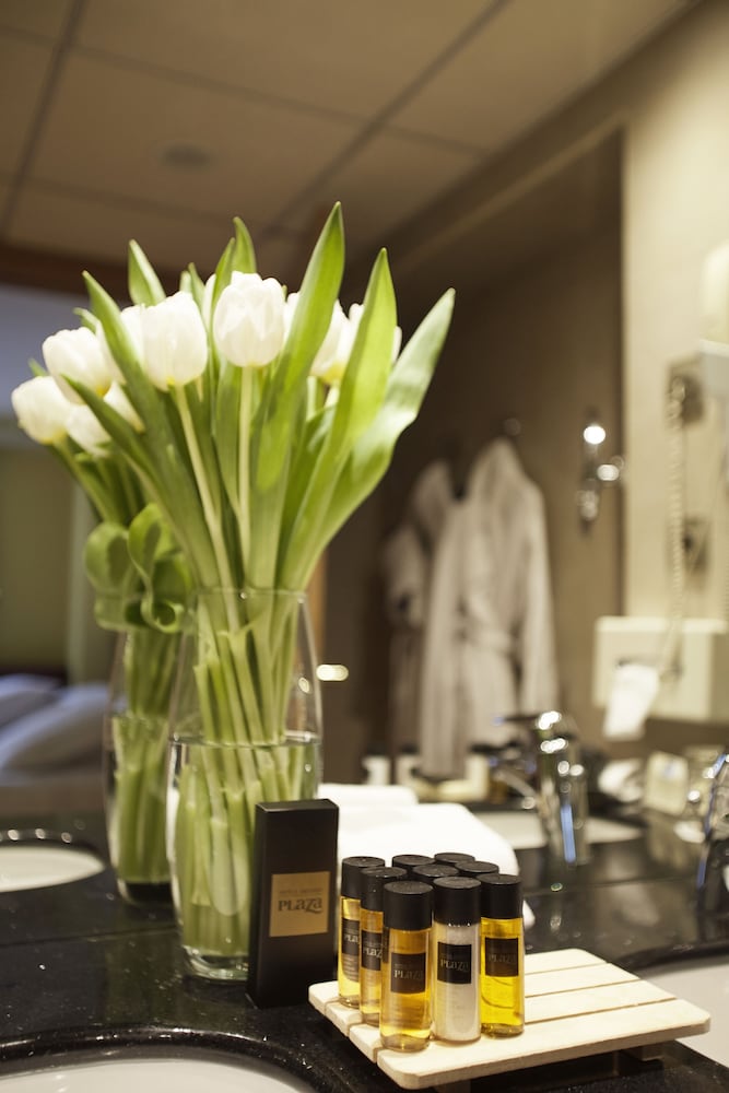 

Bologna - Ransol - Ski Plaza Hotel & Wellness