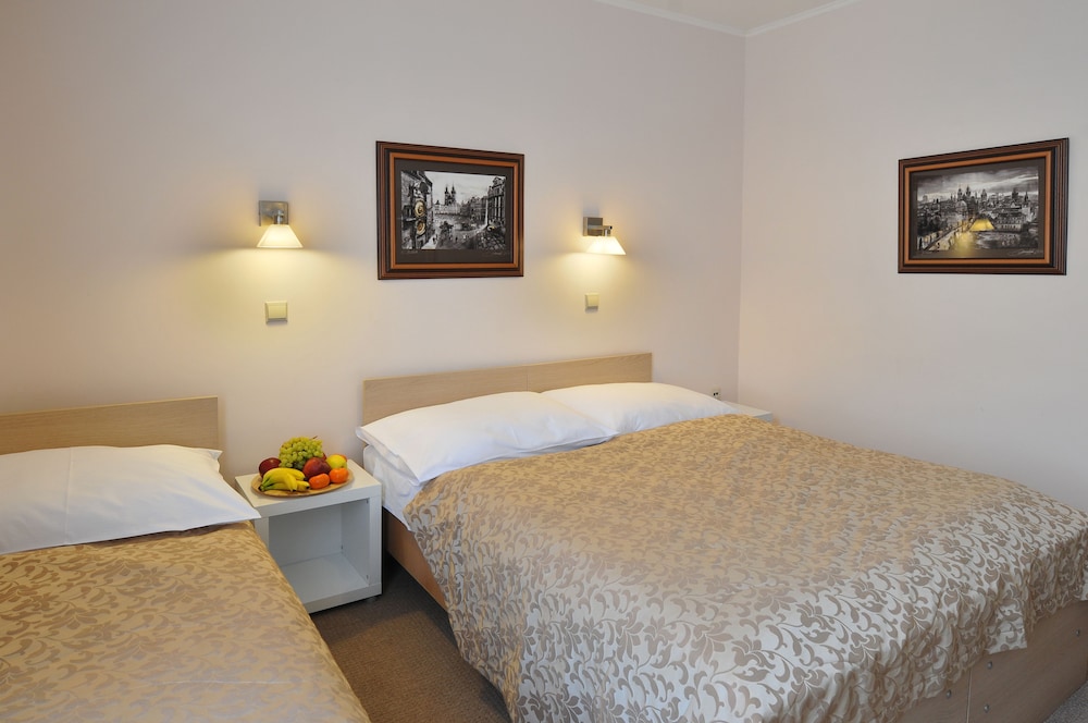 

Firenze - Praga, Aeroporto Václav Havel - Hotel Wilhelm