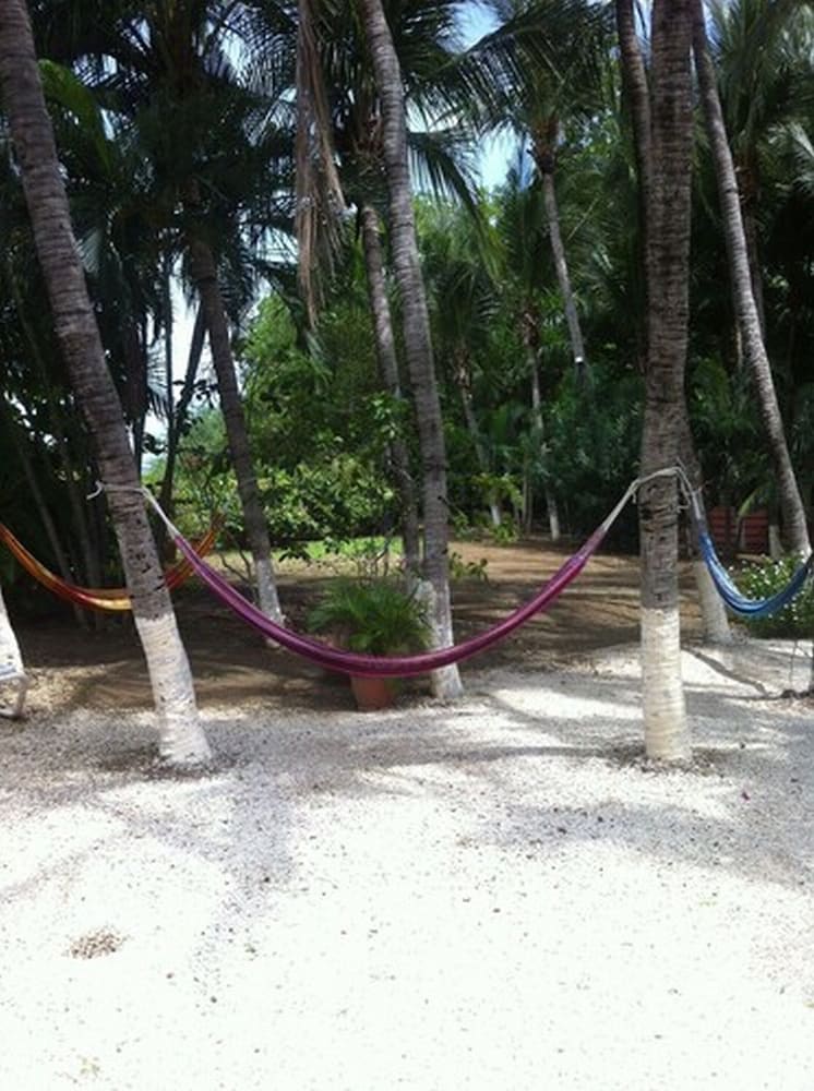 

Milano - Tamarindo - Laguna del Cocodrilo