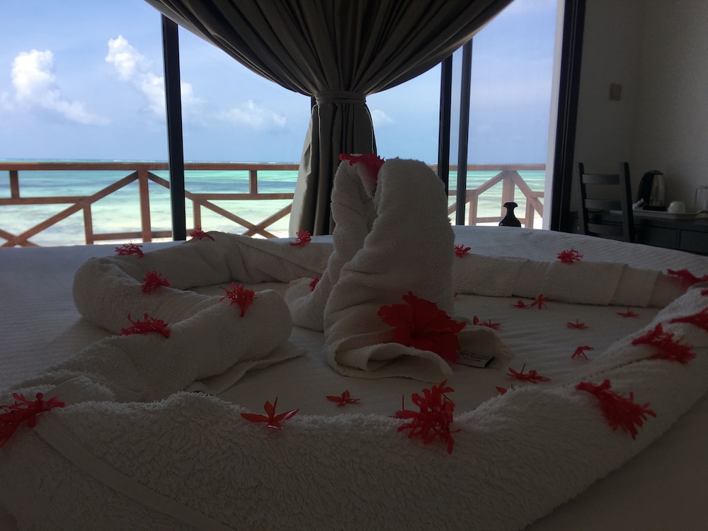 

Milano - Kidenga - Jambiani White Sands Bungalows