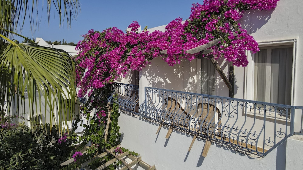 

Roma - Ortakent - Serhan Hotel
