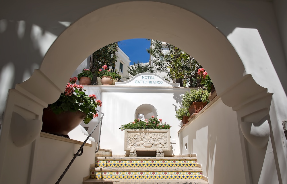 

Venezia - Isola di Capri - Albergo Gatto Bianco