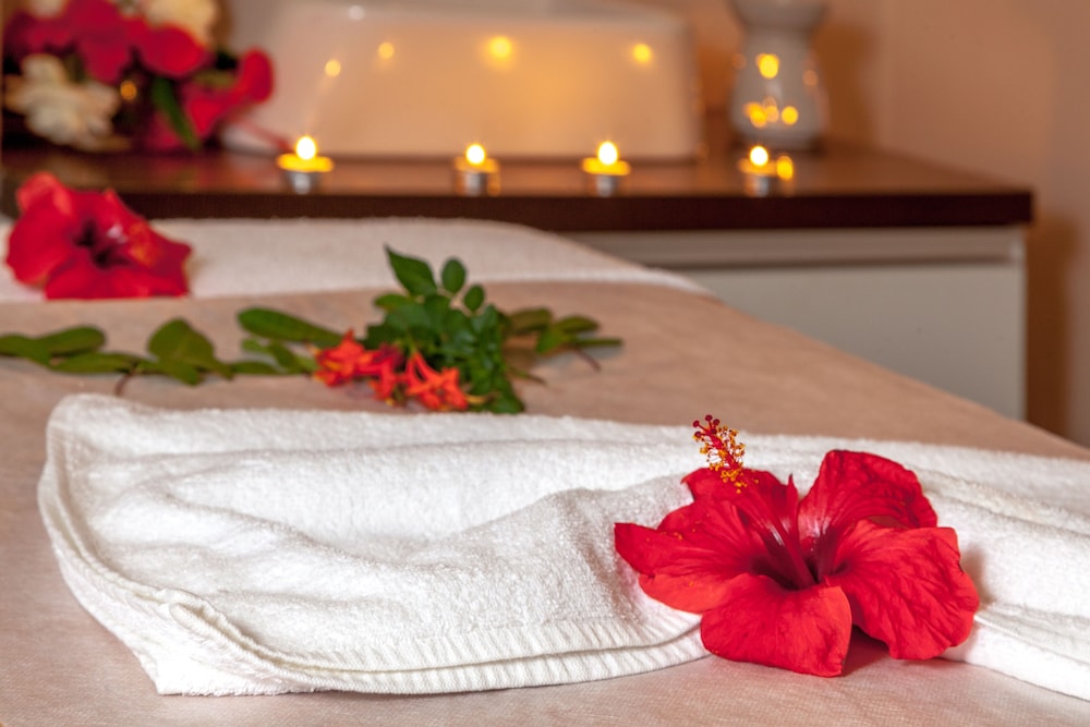 

Bari - Nabeul - Magic Hotels Manar