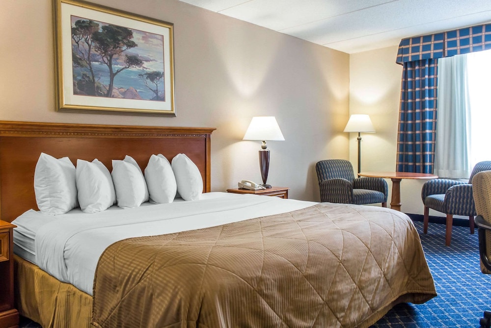 

Milano - Islandia - Clarion Hotel & Conference Center