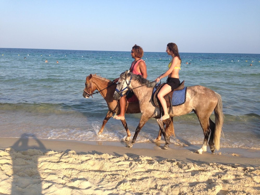

Napoli - Hammamet - Appartement Nabeul Plage