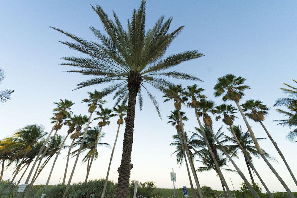 

Milano - Bay Harbor Islands - Broadmore Miami Beach