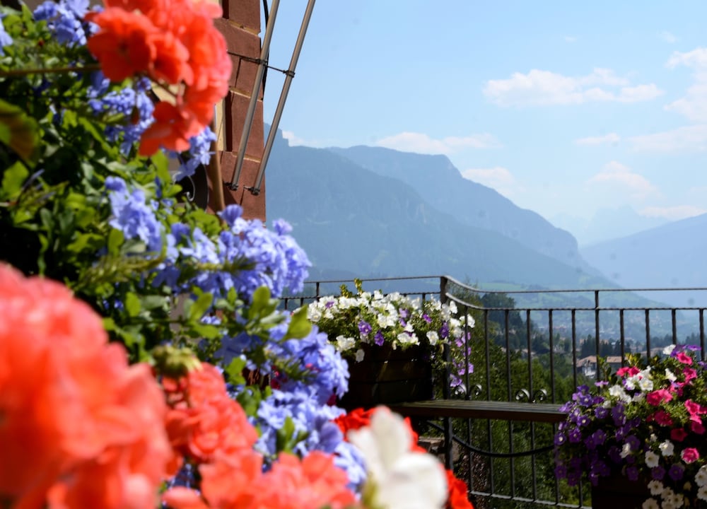 

Roma - Val di Fiemme, Montagna Italia - Hotel Corona