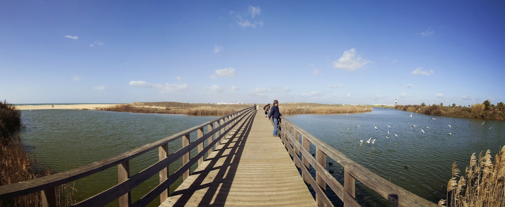 

Bari - Armacao de Pera - Bayside Salgados