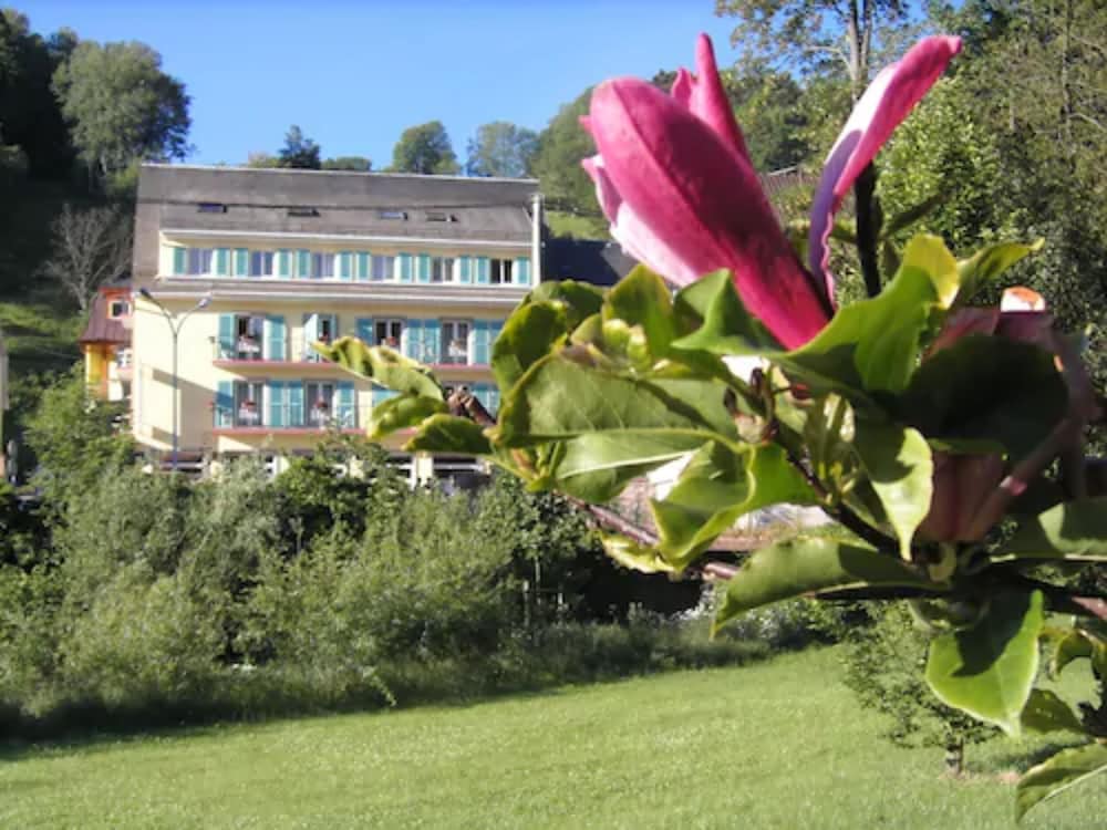 Logis Hôtel - Restaurant Aux Bruyères