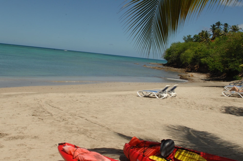 

Milano - Castries - Calabash Cove Resort And Spa - Adults Only