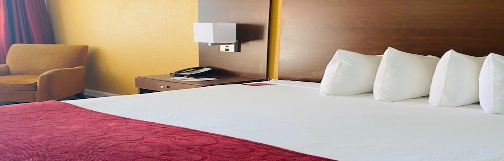 

Roma - Tampa - Ramada By Wyndham Tampa Airport Westshore