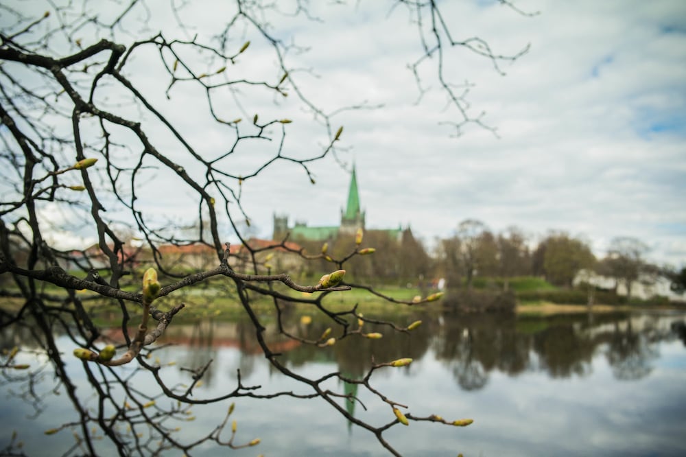 

Milano - Trondheim - City Living Sentrum Hotel
