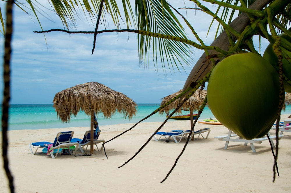 

Bari - Negril - Fun Holiday Beach Resort