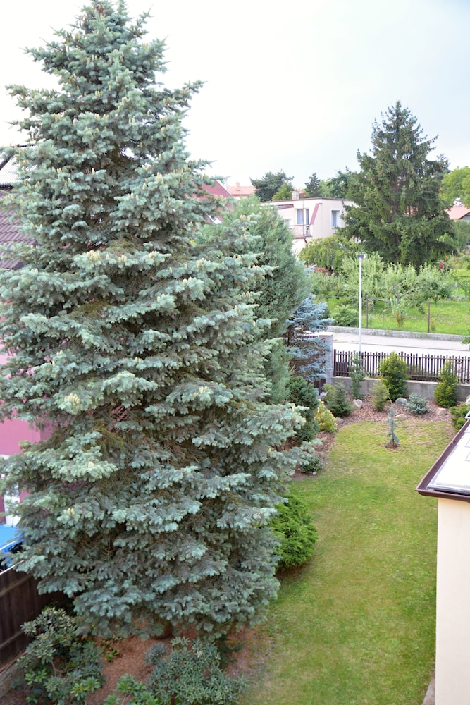 

Pisa - Hostivice - Vila Bohemia