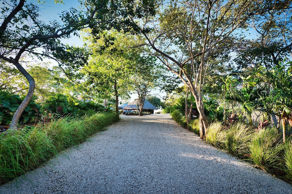 

Roma - Playa Negra - Mikado Natural Lodge
