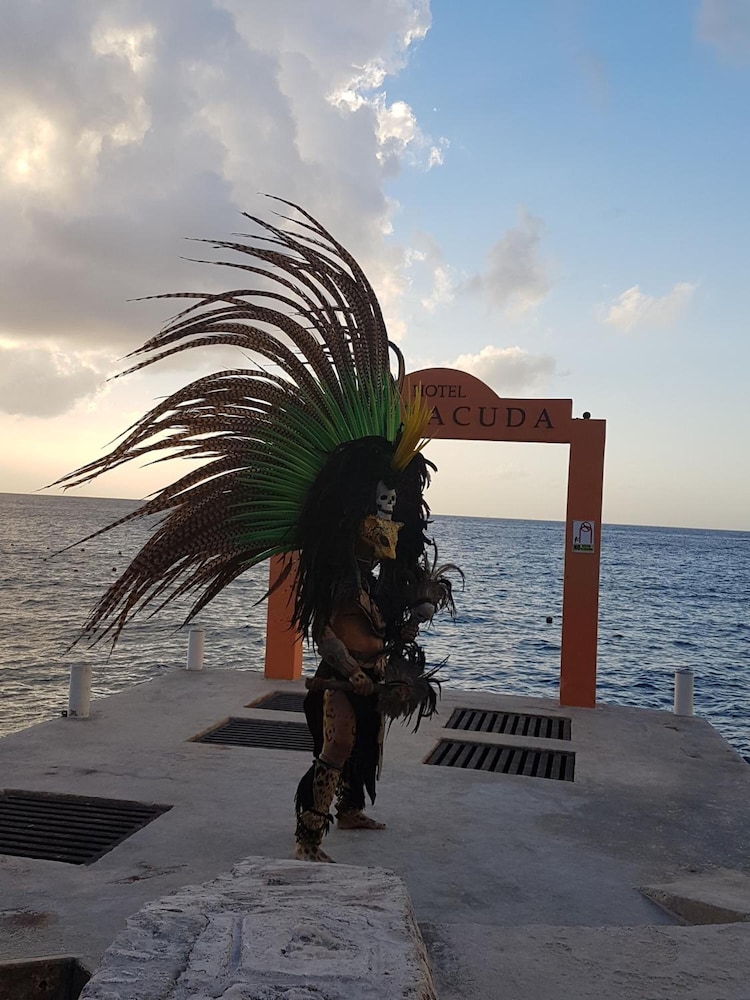 

Verona - Cozumel - Hotel Barracuda Cozumel