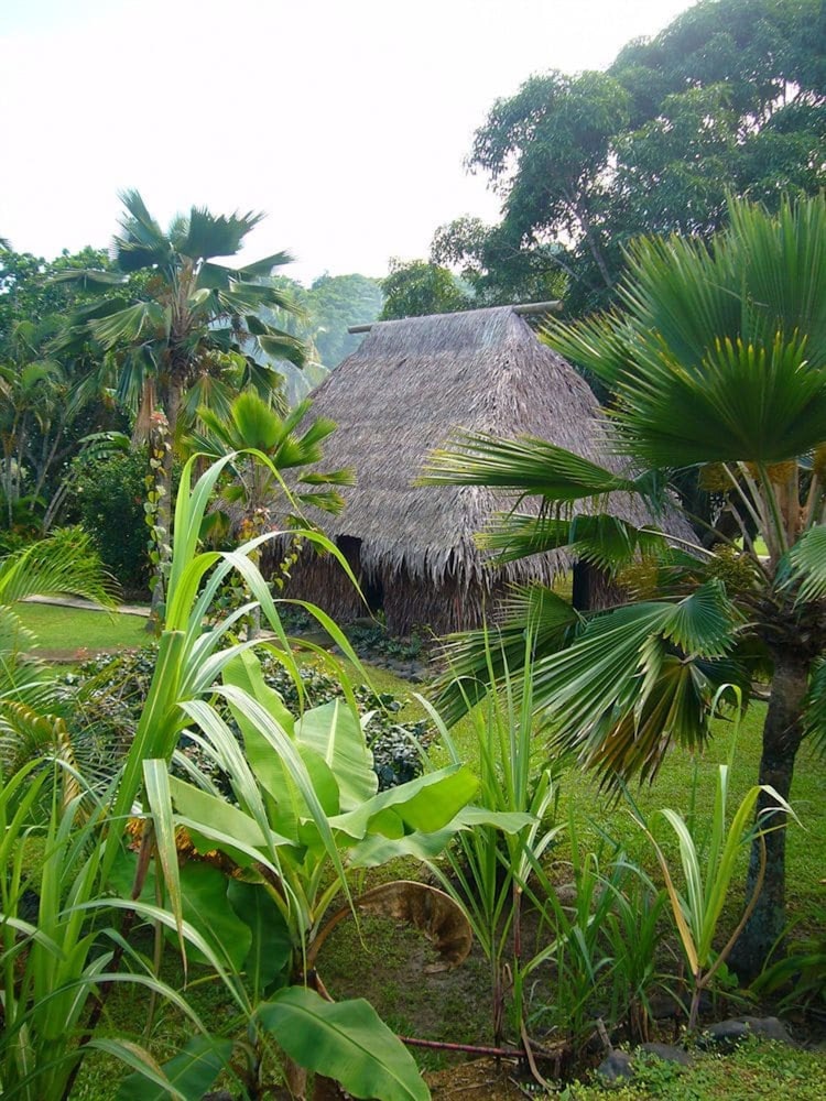 

Venezia - Sigatoka - Gecko's Resort