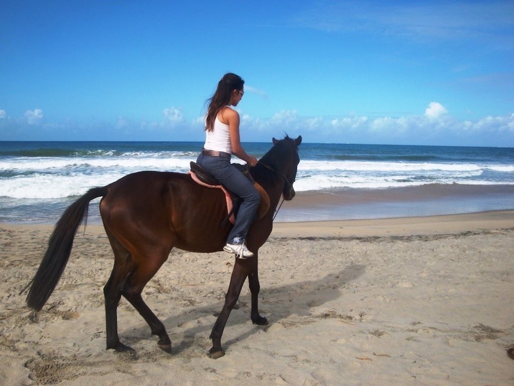 

Roma - Toamasina - Sunny Golf Hotel