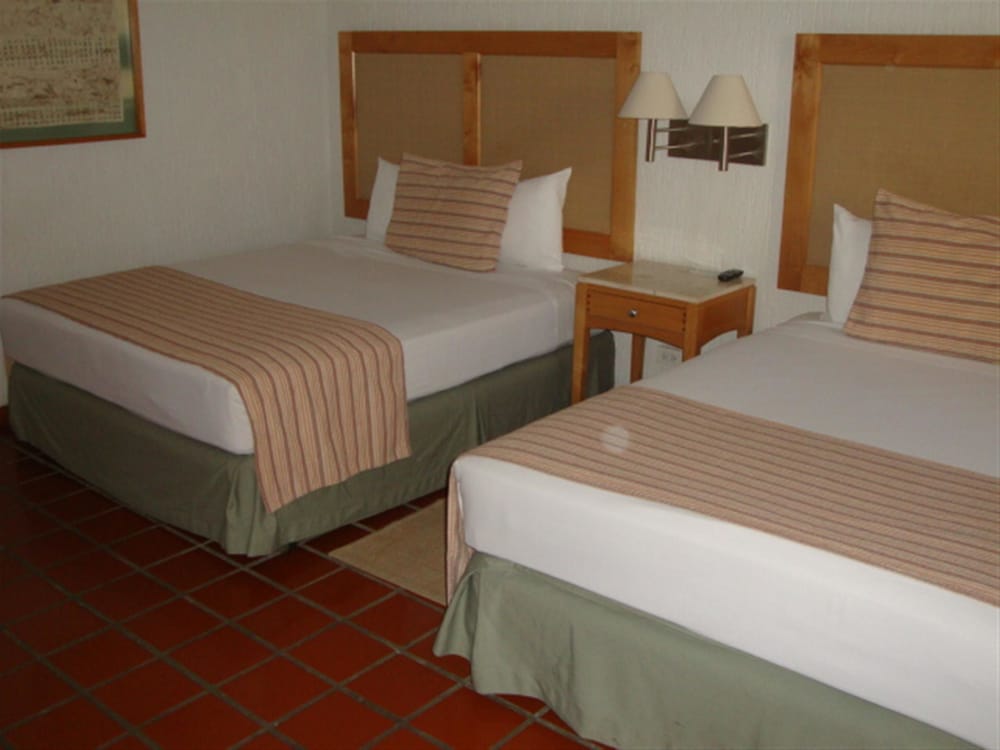 

Palermo - San José del Cabo - Park Royal Homestay Los Cabos
