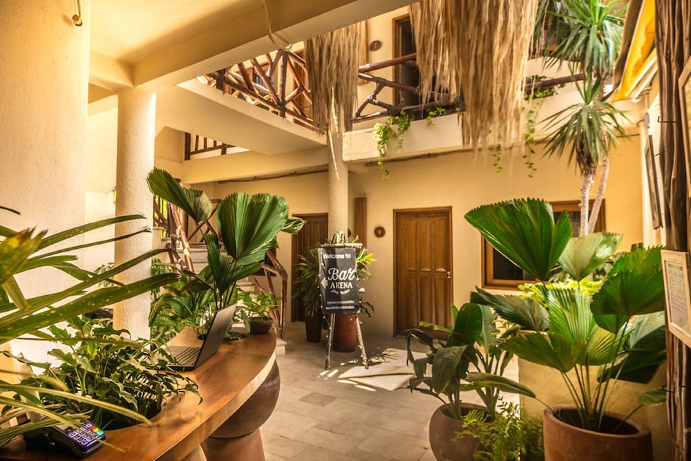 

Bologna - Isla Holbox - Hotel Arena