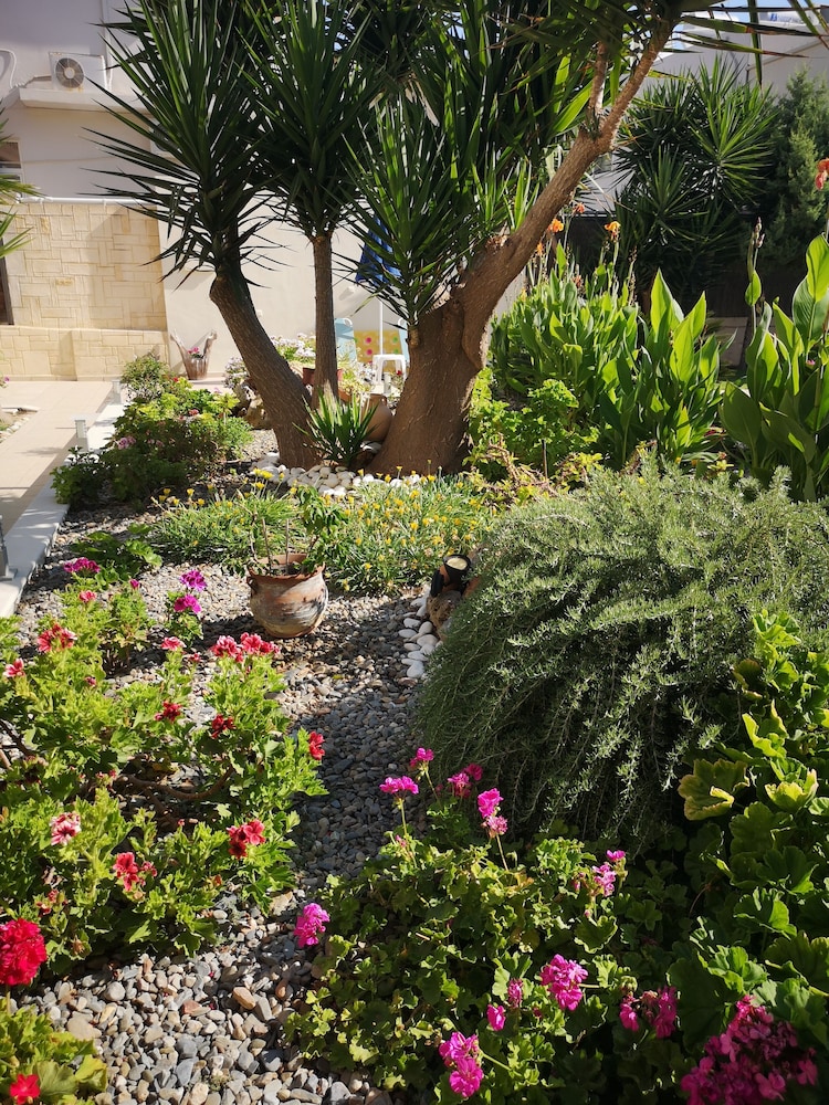 

Catania - Agia Marina Nea Kydonias - Nicolas Studios & Apartments