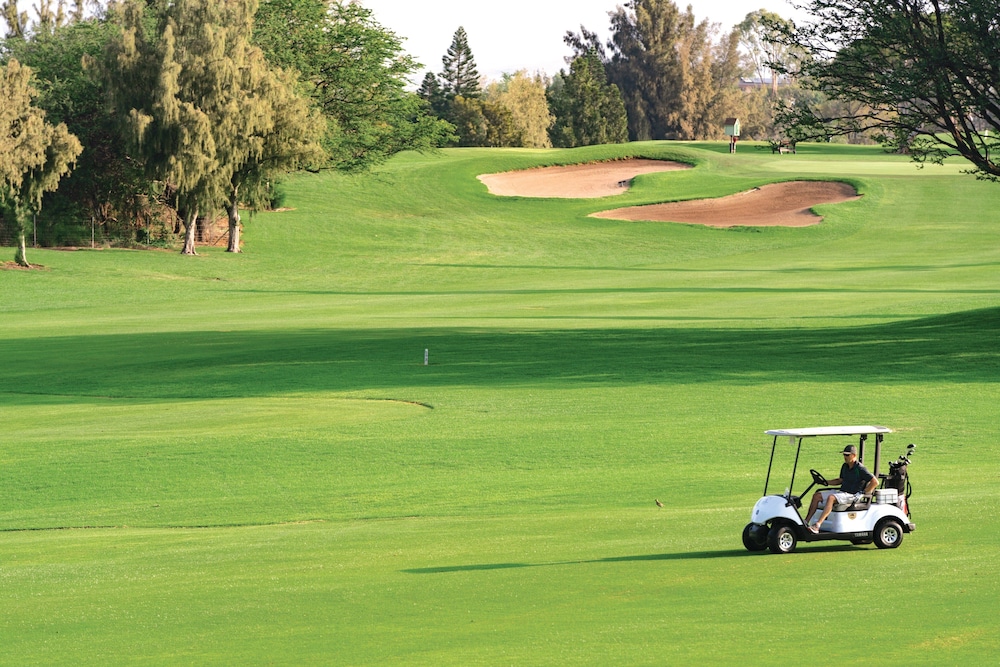 

Roma - Waikoloa - Paniolo Greens At Waikoloa