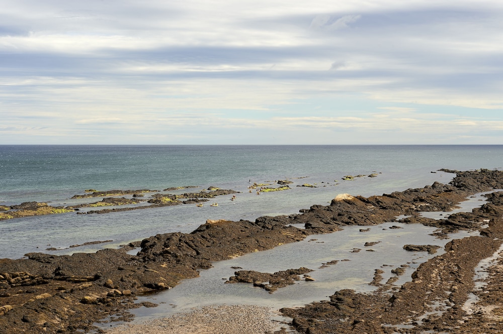 

Bari - St Andrews - Hotel Du Vin, St Andrews