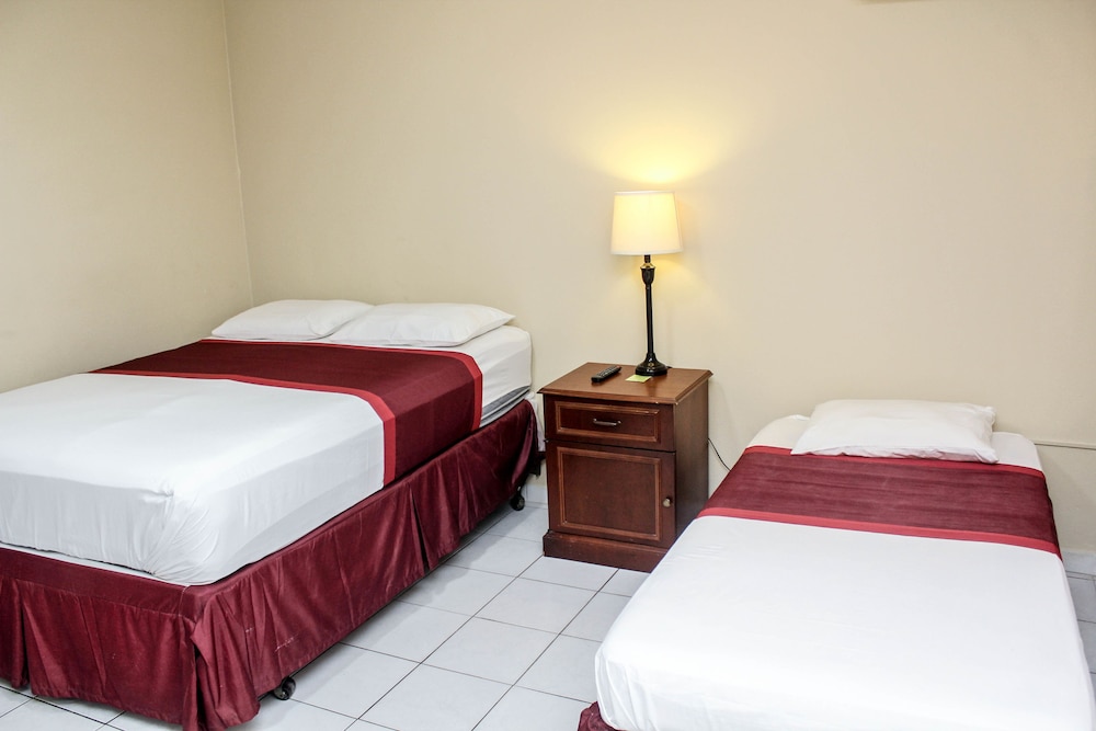 

Bologna - Palm Beach - Coconut Inn