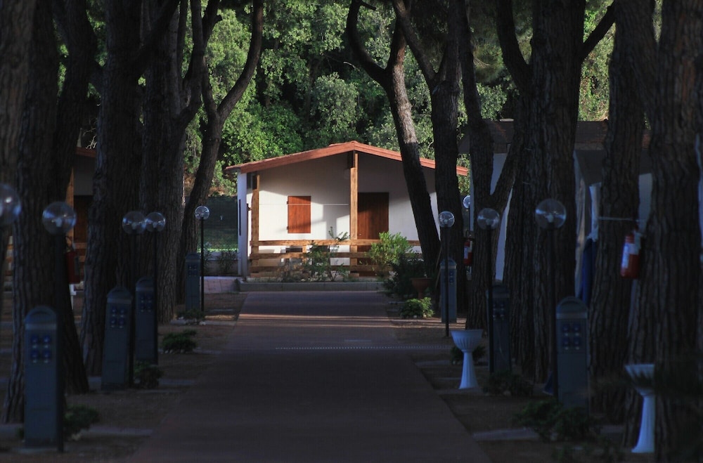 

Venezia - Rodi Garganico - Camping Serenella