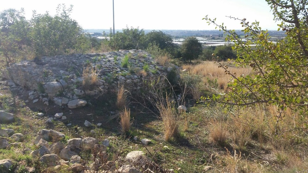 

Milano - Comiso - Casato Licitra