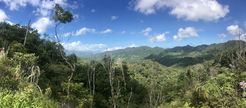 

Milano - Savusavu - Wavi Island Villas