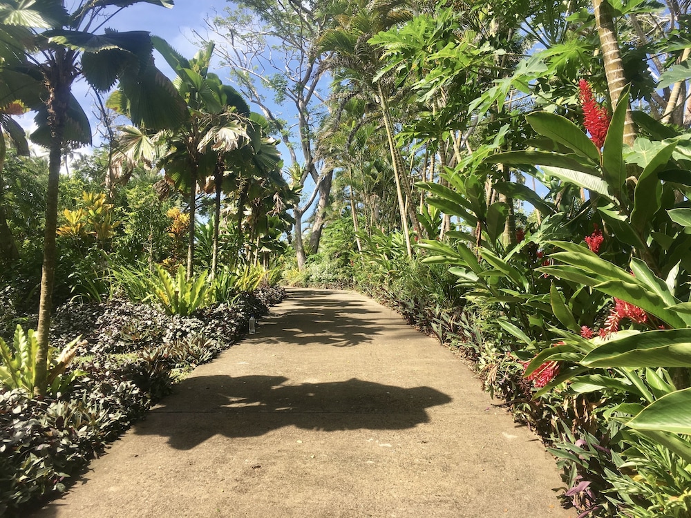 

Bologna - Savusavu - Wavi Island Villas
