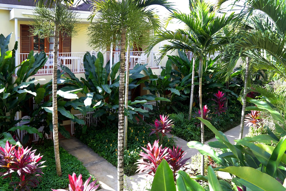

Napoli - Negril - Negril Palms