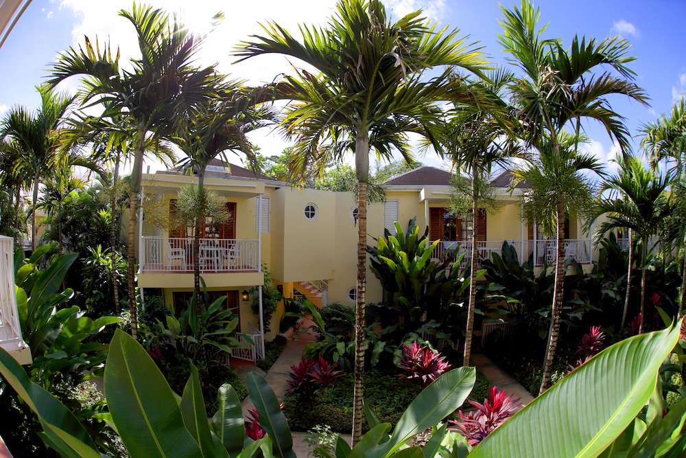 

Verona - Negril - Negril Palms